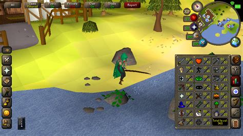 RuneScape! A Fantasy MMORPG That's Still Going Strong After Two Decades?