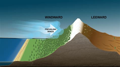 Where the Winds Blow! A Deep Dive into the Survival Sandbox 'Windward'